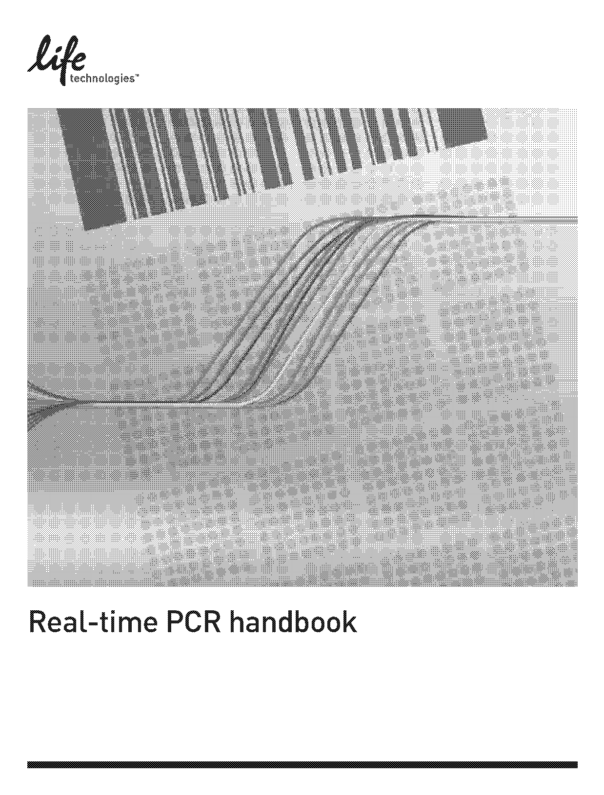 functional testing real time example pdf