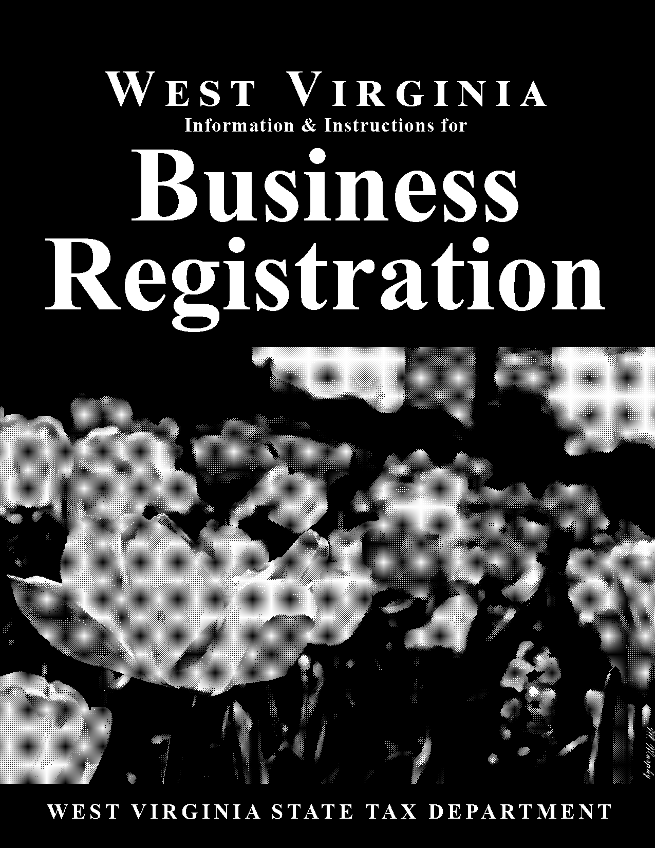 state of virginia business license application