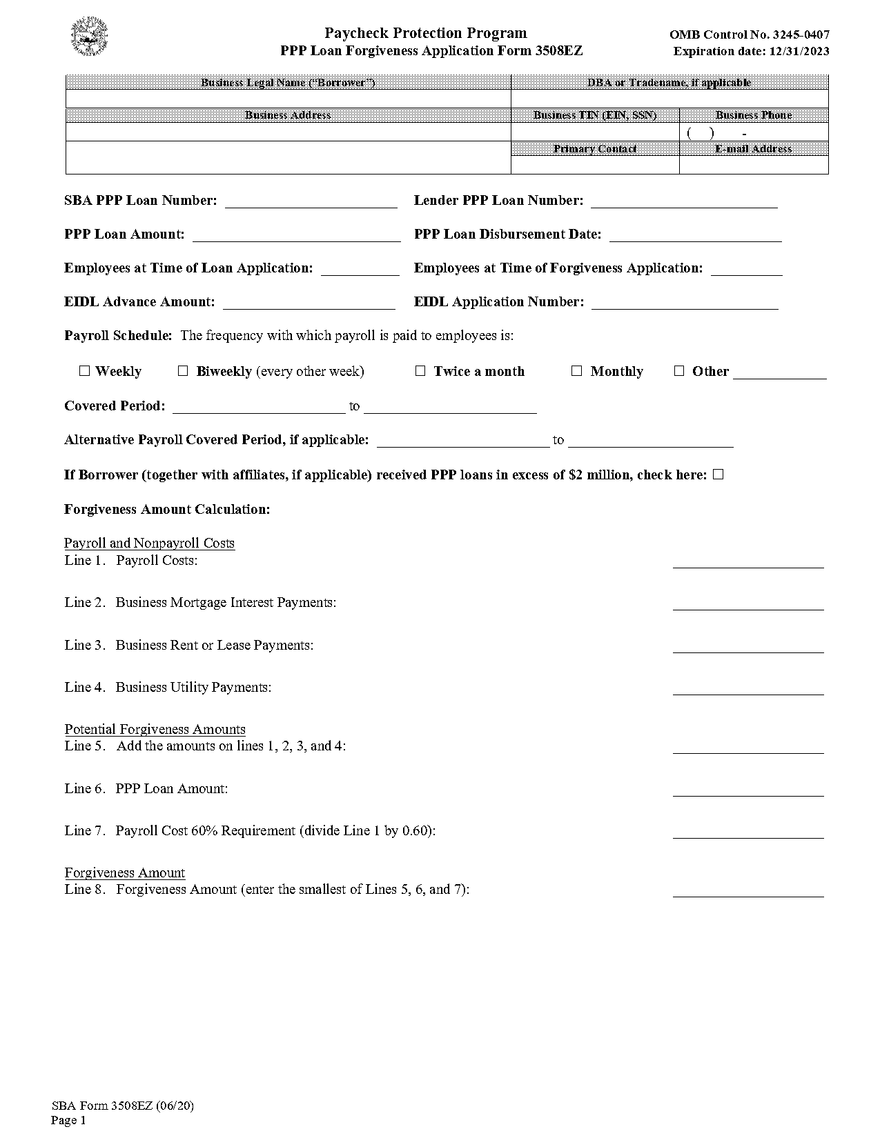 irs ppp loan forgiveness application